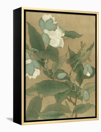 Magnolia and Praying Mantis-null-Framed Stretched Canvas