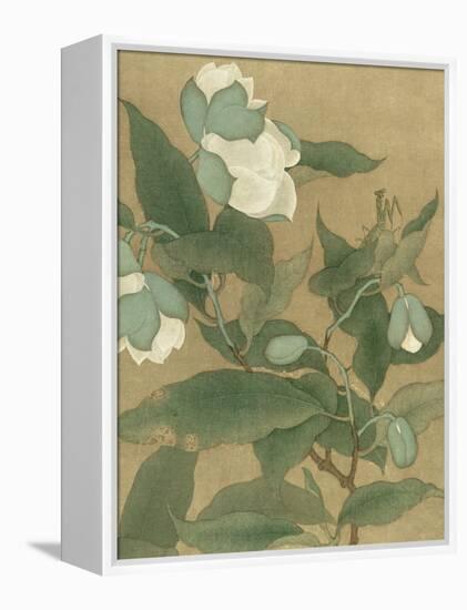 Magnolia and Praying Mantis-null-Framed Stretched Canvas