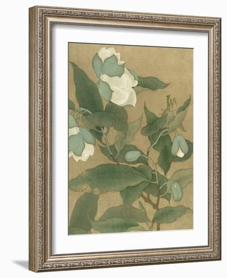 Magnolia and Praying Mantis-null-Framed Art Print