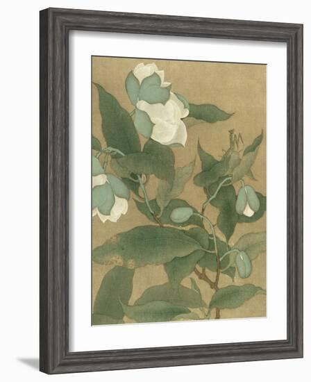 Magnolia and Praying Mantis-null-Framed Art Print