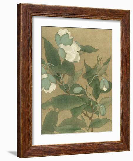 Magnolia and Praying Mantis-null-Framed Art Print