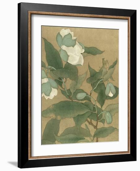 Magnolia and Praying Mantis-null-Framed Art Print