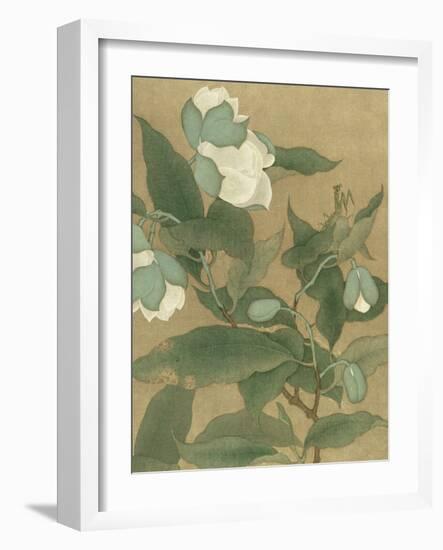 Magnolia and Praying Mantis-null-Framed Art Print