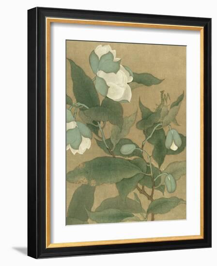 Magnolia and Praying Mantis-null-Framed Art Print