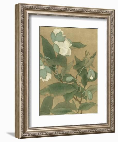 Magnolia and Praying Mantis-null-Framed Art Print