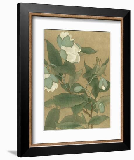 Magnolia and Praying Mantis-null-Framed Art Print