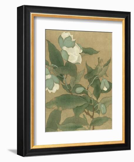 Magnolia and Praying Mantis-null-Framed Art Print