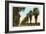 Magnolia Avenue, Riverside, California-null-Framed Art Print