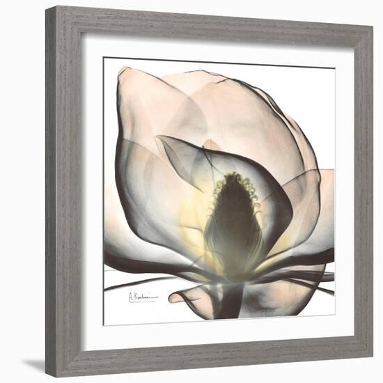 Magnolia Beauty-Albert Koetsier-Framed Premium Giclee Print