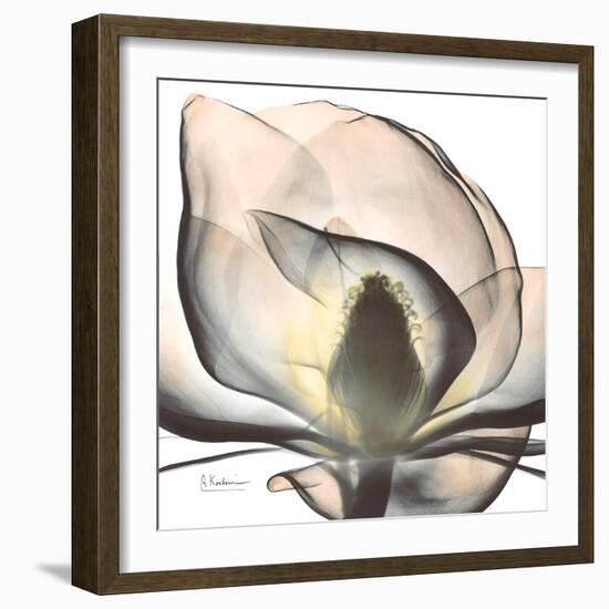 Magnolia Beauty-Albert Koetsier-Framed Premium Giclee Print