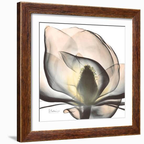 Magnolia Beauty-Albert Koetsier-Framed Premium Giclee Print