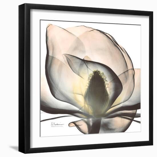 Magnolia Beauty-Albert Koetsier-Framed Premium Giclee Print