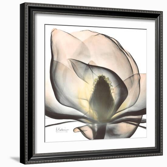 Magnolia Beauty-Albert Koetsier-Framed Premium Giclee Print