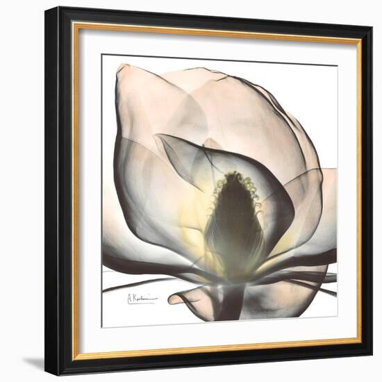 Magnolia Beauty-Albert Koetsier-Framed Premium Giclee Print