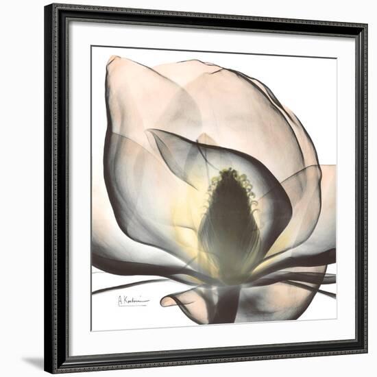 Magnolia Beauty-Albert Koetsier-Framed Giclee Print