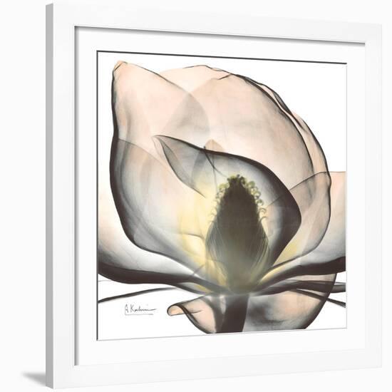 Magnolia Beauty-Albert Koetsier-Framed Giclee Print