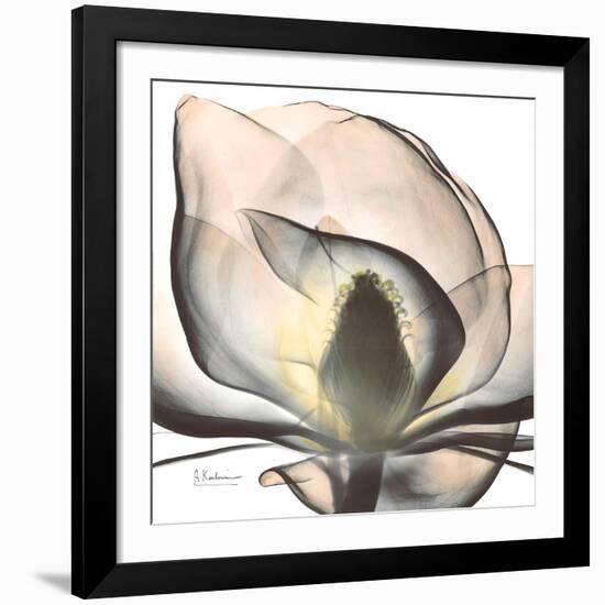 Magnolia Beauty-Albert Koetsier-Framed Giclee Print