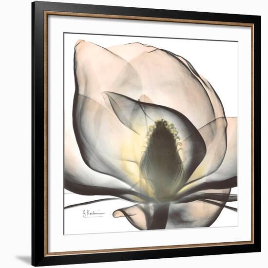 Magnolia Beauty-Albert Koetsier-Framed Giclee Print