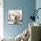 Magnolia Beauty-Albert Koetsier-Mounted Giclee Print displayed on a wall