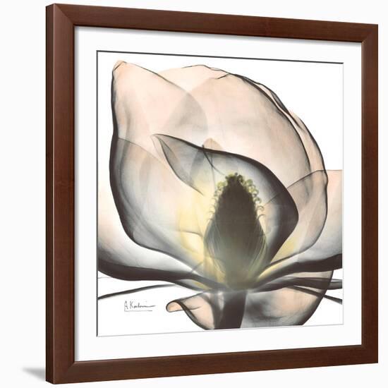 Magnolia Beauty-Albert Koetsier-Framed Giclee Print