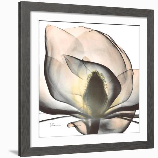 Magnolia Beauty-Albert Koetsier-Framed Giclee Print