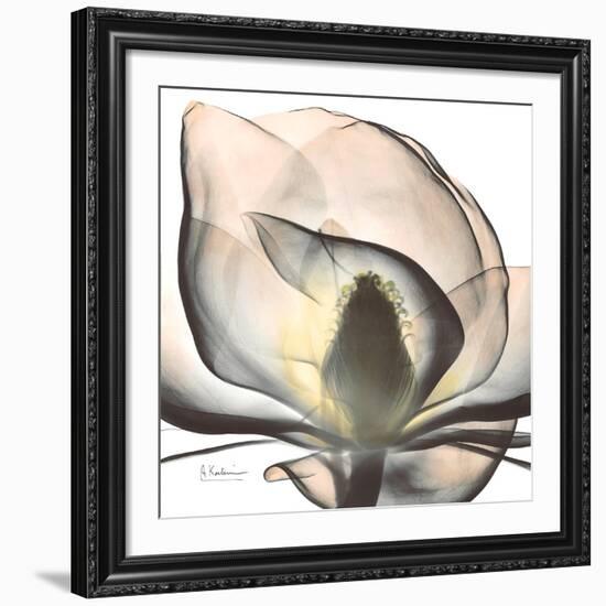 Magnolia Beauty-Albert Koetsier-Framed Giclee Print