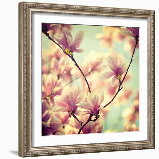 Magnolia Bloom I-Irene Suchocki-Framed Giclee Print