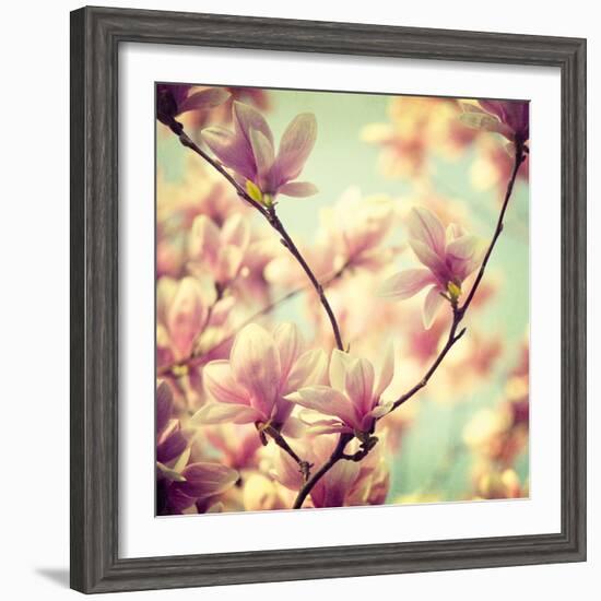 Magnolia Bloom I-Irene Suchocki-Framed Giclee Print