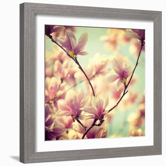 Magnolia Bloom I-Irene Suchocki-Framed Giclee Print