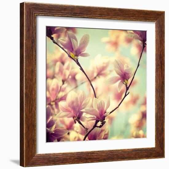 Magnolia Bloom I-Irene Suchocki-Framed Giclee Print