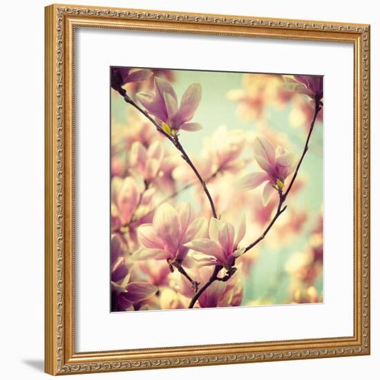 Magnolia Bloom I-Irene Suchocki-Framed Giclee Print