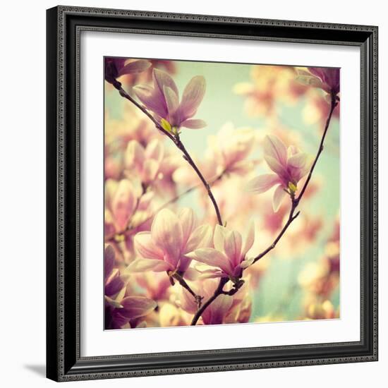 Magnolia Bloom I-Irene Suchocki-Framed Giclee Print