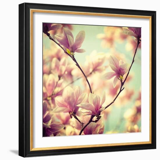 Magnolia Bloom I-Irene Suchocki-Framed Giclee Print