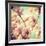 Magnolia Bloom I-Irene Suchocki-Framed Giclee Print