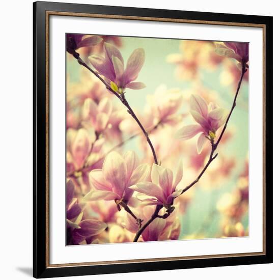 Magnolia Bloom I-Irene Suchocki-Framed Giclee Print