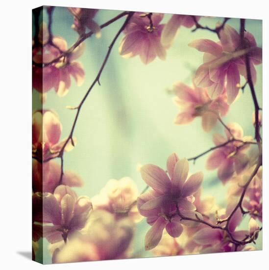 Magnolia Bloom II-Irene Suchocki-Framed Stretched Canvas