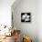 Magnolia Bloom on Black Background-Anna Miller-Framed Premier Image Canvas displayed on a wall