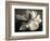 Magnolia Bloom-Amy Melious-Framed Art Print