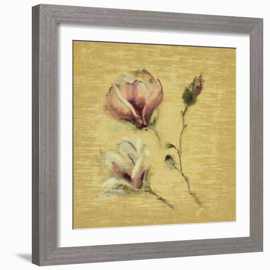 Magnolia Blossom on Gold-Cheri Blum-Framed Art Print