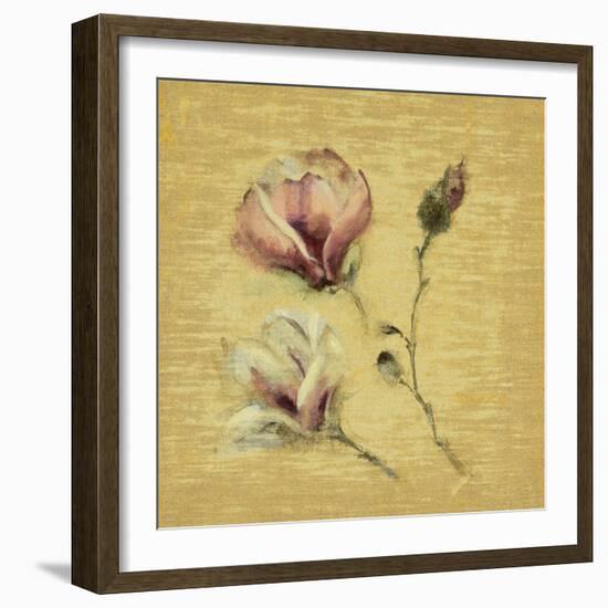 Magnolia Blossom on Gold-Cheri Blum-Framed Art Print