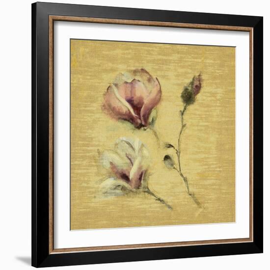 Magnolia Blossom on Gold-Cheri Blum-Framed Art Print