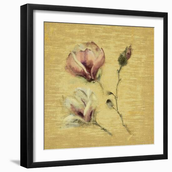 Magnolia Blossom on Gold-Cheri Blum-Framed Art Print