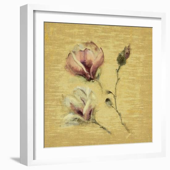 Magnolia Blossom on Gold-Cheri Blum-Framed Art Print