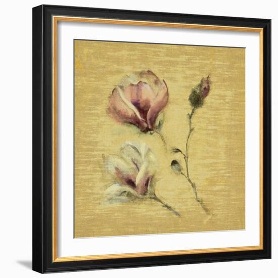 Magnolia Blossom on Gold-Cheri Blum-Framed Art Print