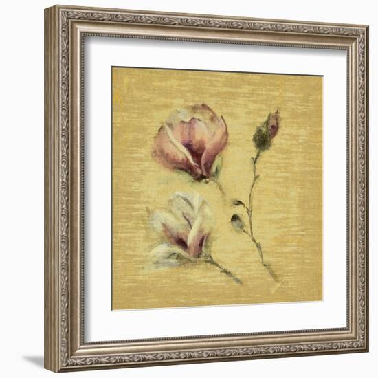 Magnolia Blossom on Gold-Cheri Blum-Framed Art Print