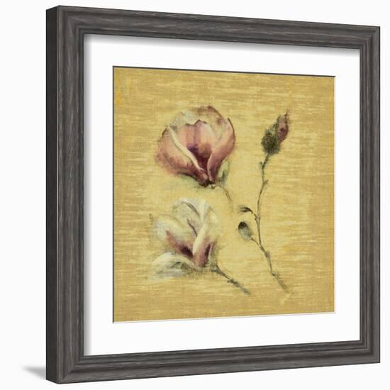 Magnolia Blossom on Gold-Cheri Blum-Framed Art Print