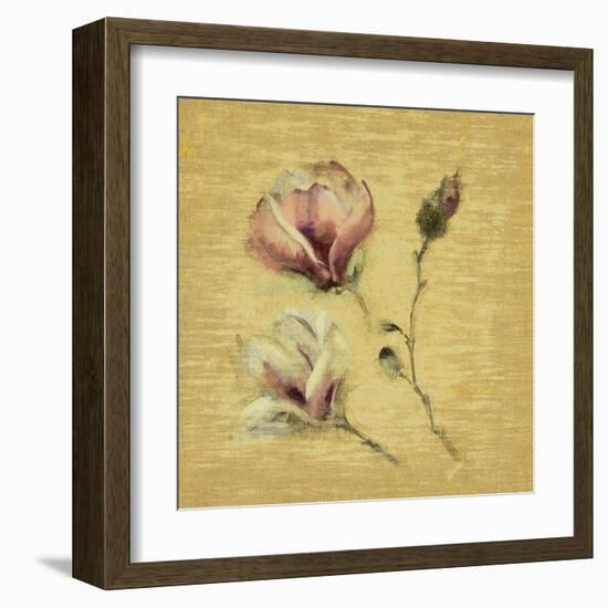 Magnolia Blossom on Gold-Cheri Blum-Framed Art Print