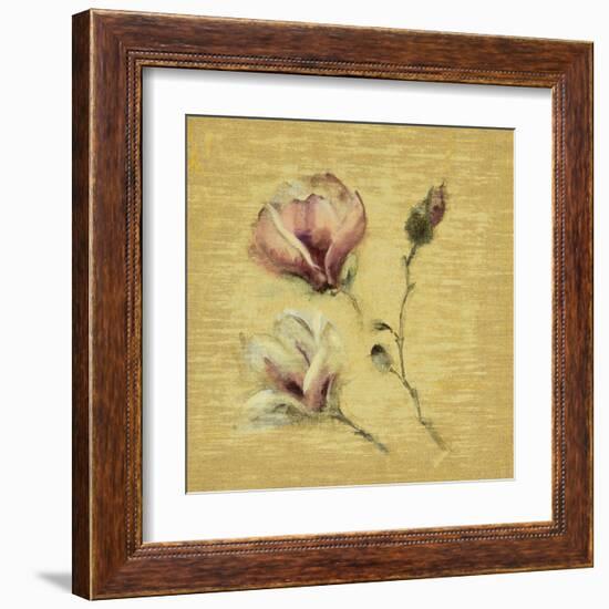 Magnolia Blossom on Gold-Cheri Blum-Framed Art Print