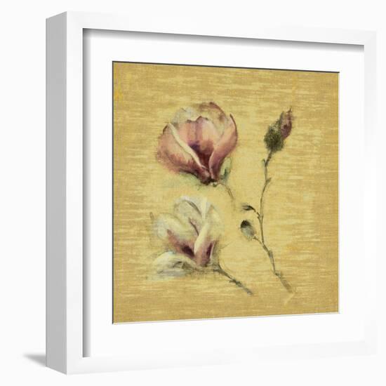 Magnolia Blossom on Gold-Cheri Blum-Framed Art Print