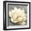 Magnolia Blossom on Gray-Albena Hristova-Framed Art Print